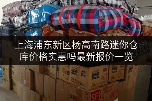 上海浦东新区杨高南路迷你仓库价格实惠吗最新报价一览