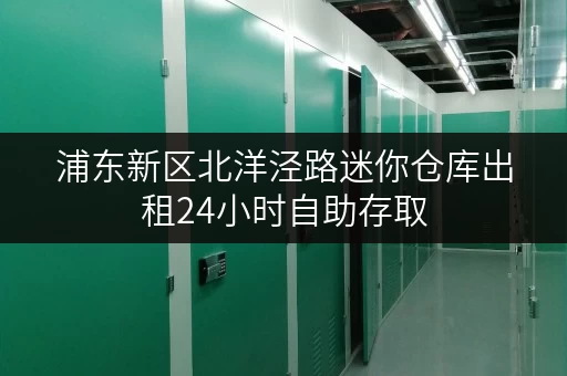 浦东新区北洋泾路迷你仓库出租24小时自助存取