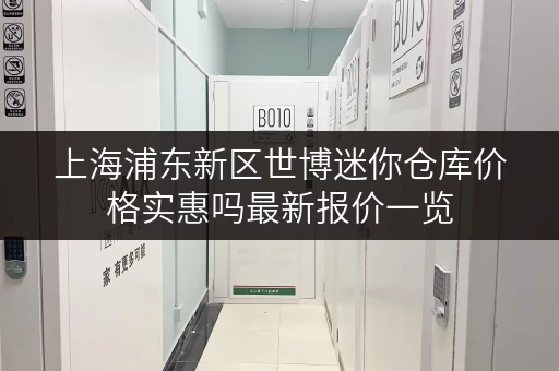 上海浦东新区世博迷你仓库价格实惠吗最新报价一览