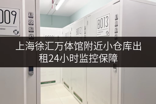 上海徐汇万体馆附近小仓库出租24小时监控保障