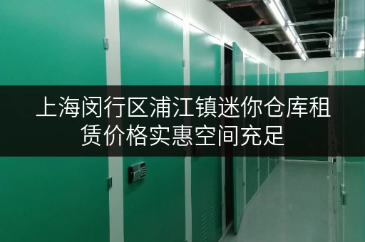 上海闵行区浦江镇迷你仓库租赁价格实惠空间充足