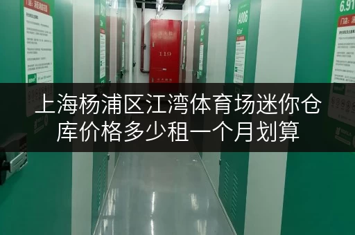 上海杨浦区江湾体育场迷你仓库价格多少租一个月划算