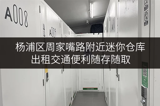 杨浦区周家嘴路附近迷你仓库出租交通便利随存随取