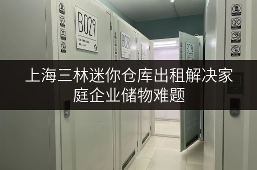 上海三林迷你仓库出租解决家庭企业储物难题