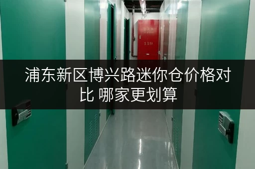 浦东新区博兴路迷你仓价格对比 哪家更划算