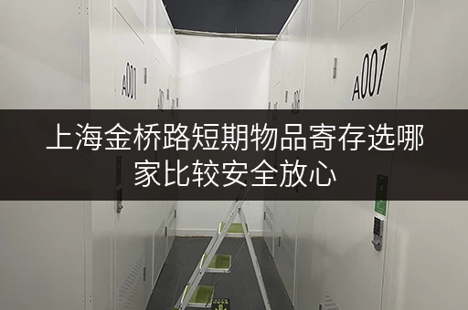 上海金桥路短期物品寄存选哪家比较安全放心