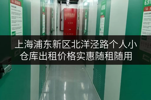 上海浦东新区北洋泾路个人小仓库出租价格实惠随租随用