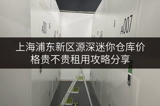 上海浦东新区源深迷你仓库价格贵不贵租用攻略分享