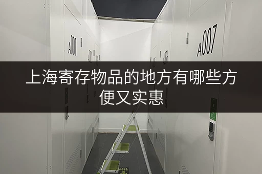 上海寄存物品的地方有哪些方便又实惠