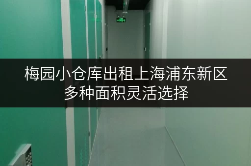 梅园小仓库出租上海浦东新区多种面积灵活选择