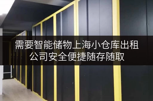 需要智能储物上海小仓库出租公司安全便捷随存随取