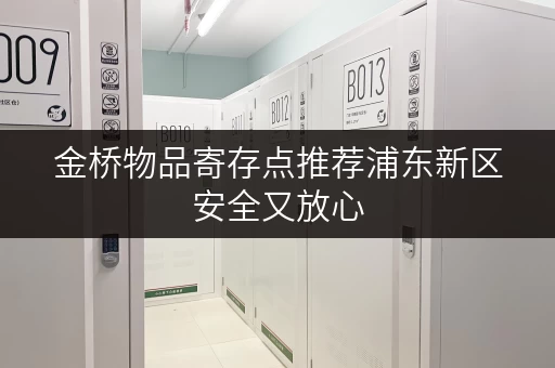 金桥物品寄存点推荐浦东新区安全又放心