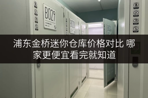 浦东金桥迷你仓库价格对比 哪家更便宜看完就知道