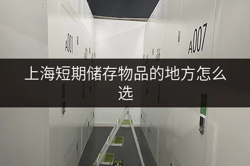 上海短期储存物品的地方怎么选