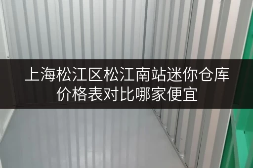 上海松江区松江南站迷你仓库价格表对比哪家便宜
