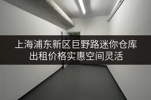 上海浦东新区巨野路迷你仓库出租价格实惠空间灵活