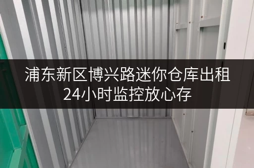 浦东新区博兴路迷你仓库出租24小时监控放心存