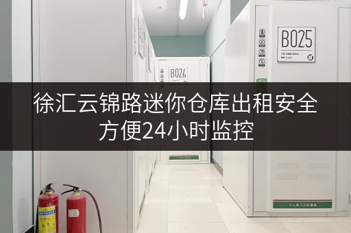 徐汇云锦路迷你仓库出租安全方便24小时监控