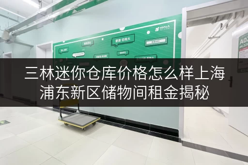 三林迷你仓库价格怎么样上海浦东新区储物间租金揭秘