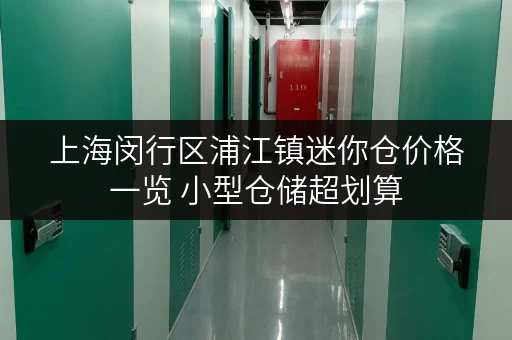 上海闵行区浦江镇迷你仓价格一览 小型仓储超划算