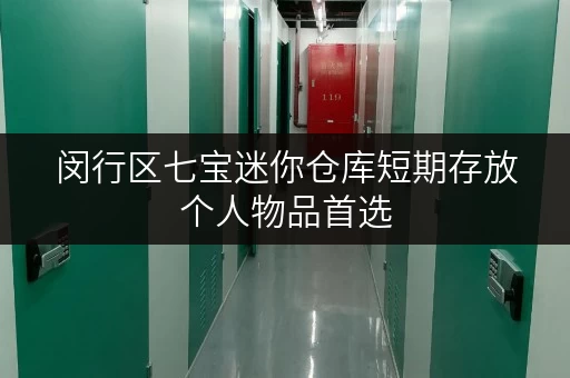 闵行区七宝迷你仓库短期存放个人物品首选 闵行区七宝迷你仓库短期存放个人物品首选