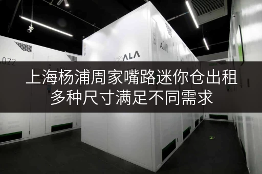 上海杨浦周家嘴路迷你仓出租多种尺寸满足不同需求
