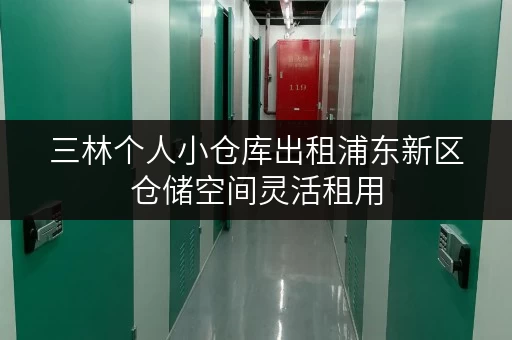 三林个人小仓库出租浦东新区仓储空间灵活租用
