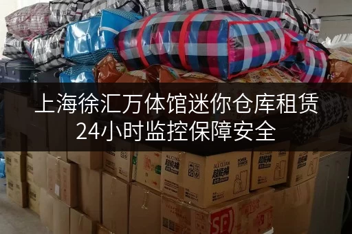 上海徐汇万体馆迷你仓库租赁24小时监控保障安全