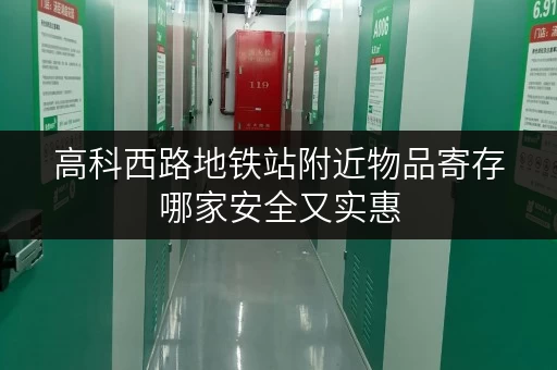 高科西路地铁站附近物品寄存哪家安全又实惠 高科西路地铁站附近物品寄存哪家安全又实惠