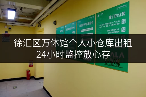 徐汇区万体馆个人小仓库出租24小时监控放心存 徐汇区万体馆个人小仓库出租24小时监控放心存
