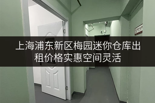 上海浦东新区梅园迷你仓库出租价格实惠空间灵活 上海浦东新区梅园迷你仓库出租价格实惠空间灵活