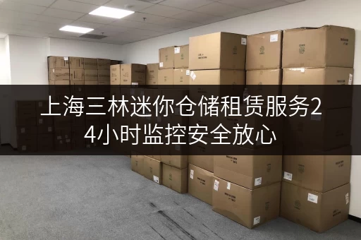 上海三林迷你仓储租赁服务24小时监控安全放心
