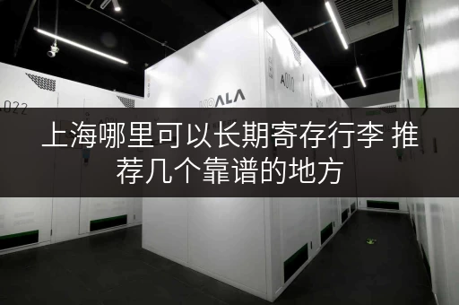 上海哪里可以长期寄存行李 推荐几个靠谱的地方
