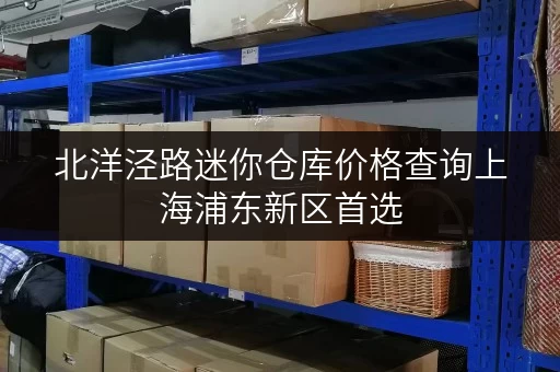 北洋泾路迷你仓库价格查询上海浦东新区首选