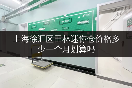 上海徐汇区田林迷你仓价格多少一个月划算吗