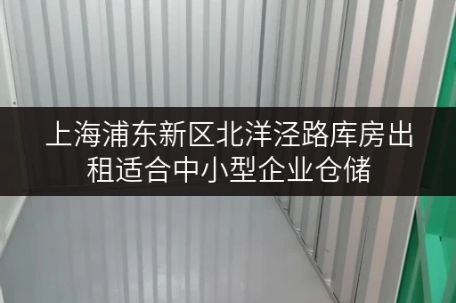 上海浦东新区北洋泾路库房出租适合中小型企业仓储