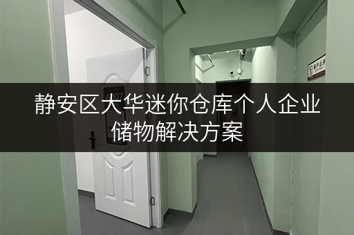 静安区大华迷你仓库个人企业储物解决方案