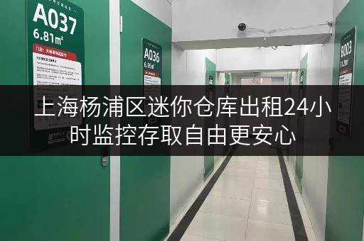 上海杨浦区迷你仓库出租24小时监控存取自由更安心