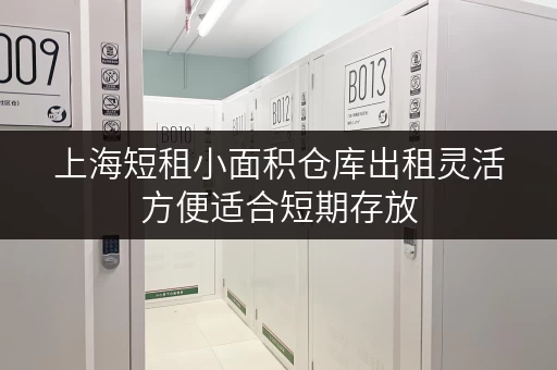 上海短租小面积仓库出租灵活方便适合短期存放 上海短租小面积仓库出租灵活方便适合短期存放