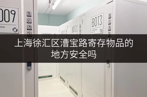 上海徐汇区漕宝路寄存物品的地方安全吗