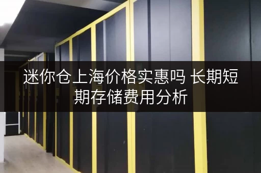 迷你仓上海价格实惠吗 长期短期存储费用分析