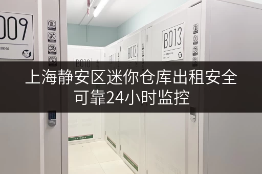 上海静安区迷你仓库出租安全可靠24小时监控 上海静安区迷你仓库出租安全可靠24小时监控