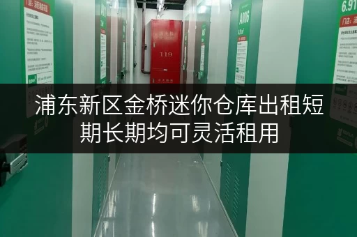 浦东新区金桥迷你仓库出租短期长期均可灵活租用 浦东新区金桥迷你仓库出租短期长期均可灵活租用
