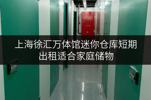 上海徐汇万体馆迷你仓库短期出租适合家庭储物