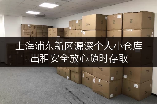 上海浦东新区源深个人小仓库出租安全放心随时存取 上海浦东新区源深个人小仓库出租安全放心随时存取