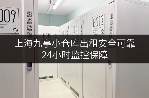 上海九亭小仓库出租安全可靠24小时监控保障 上海九亭小仓库出租安全可靠24小时监控保障