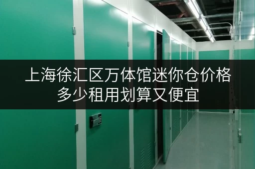 上海徐汇区万体馆迷你仓价格多少租用划算又便宜