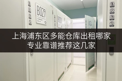 上海浦东区多能仓库出租哪家专业靠谱推荐这几家