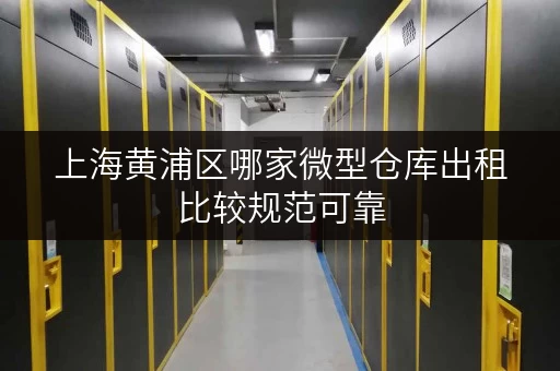 上海黄浦区哪家微型仓库出租比较规范可靠