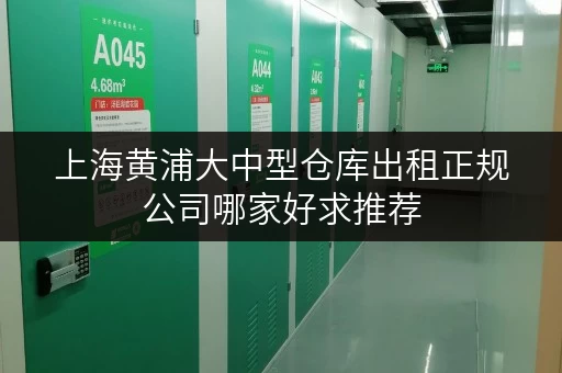 上海黄浦大中型仓库出租正规公司哪家好求推荐